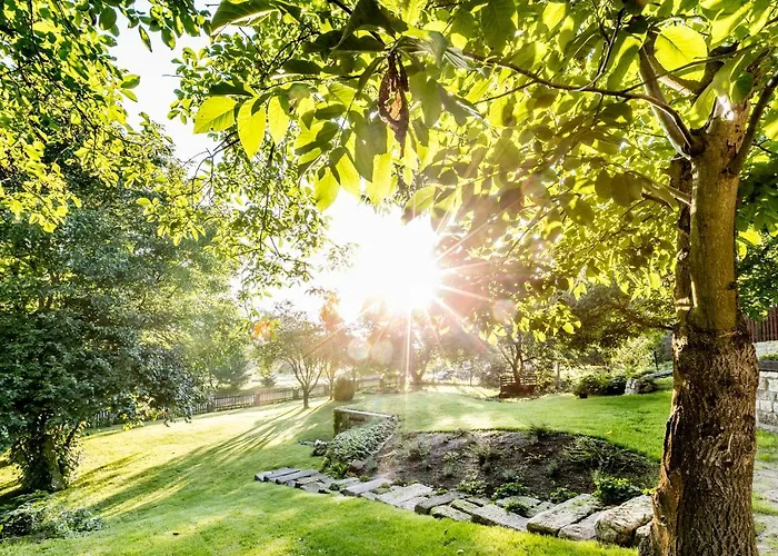 Sovi Ujezd * Jestrebi (Liberec)